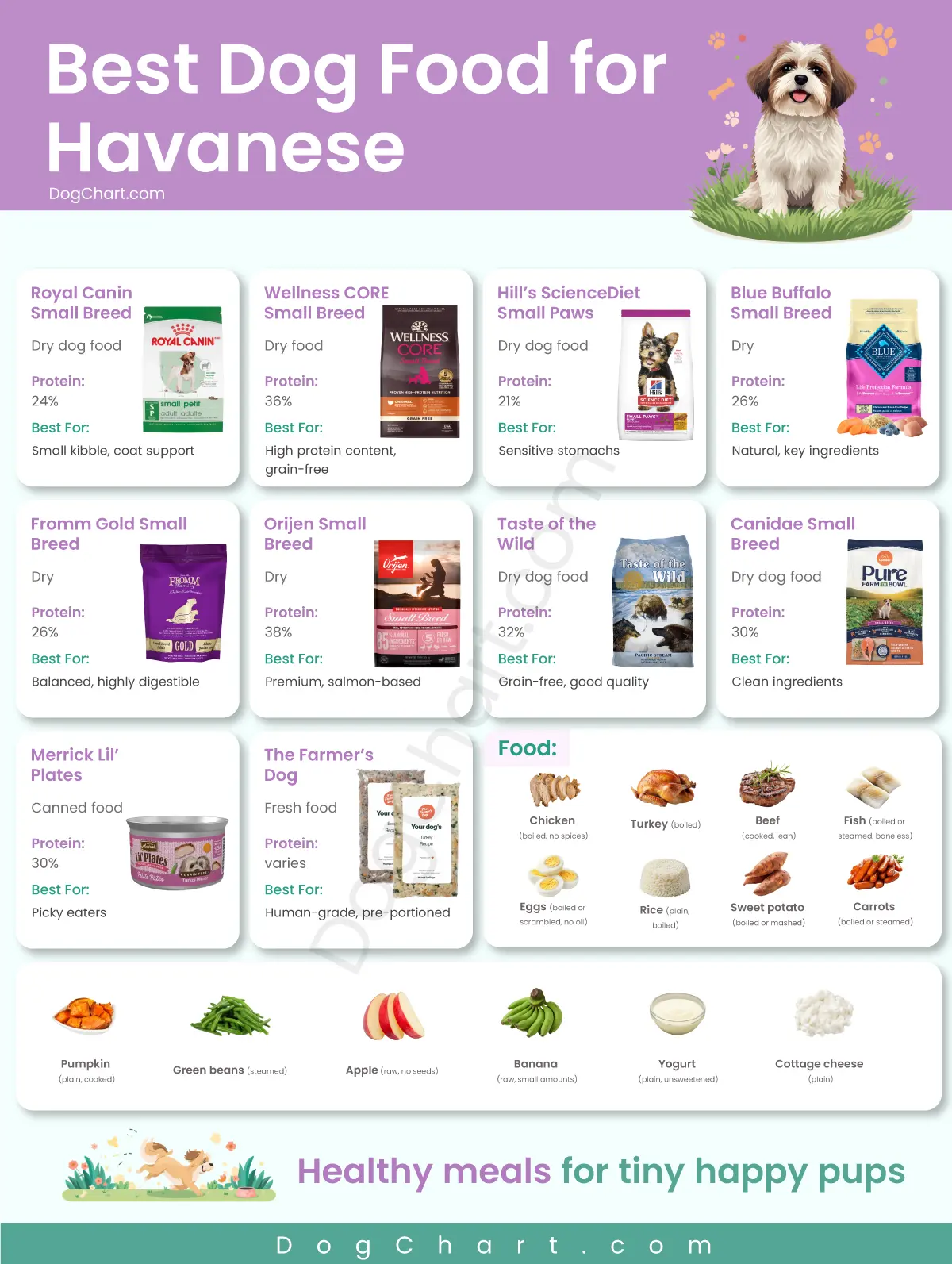 best dog food for havanese