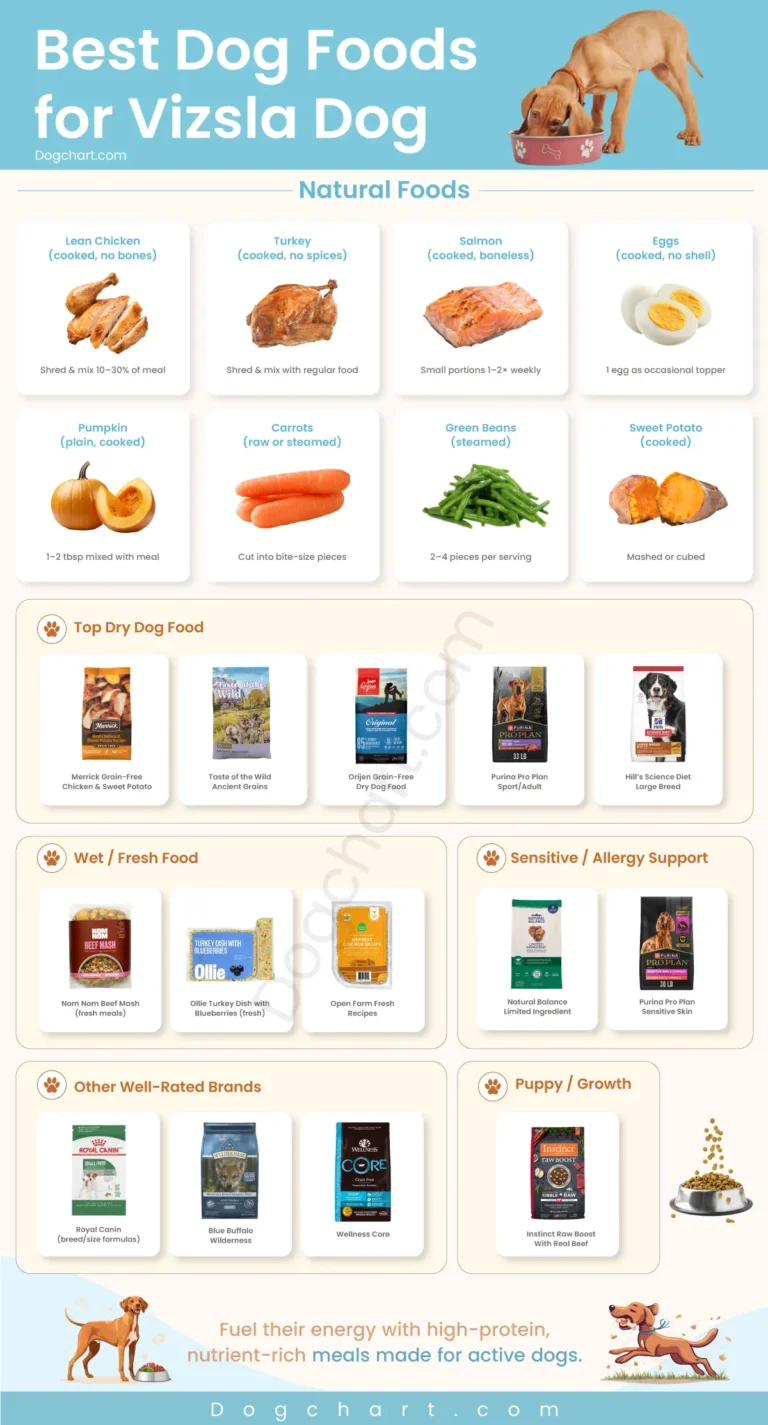 best dog food for vizsla
