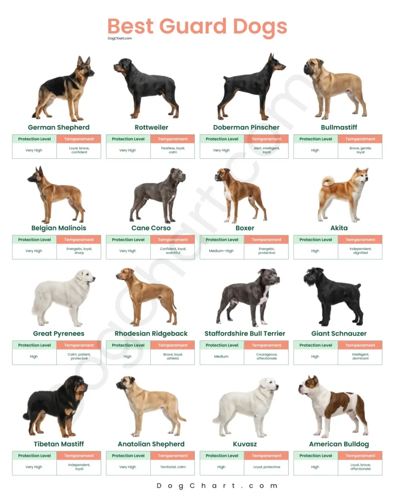 best guard dogs
