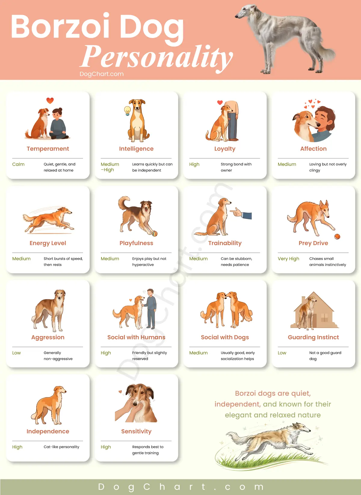 borzoi dog personality chart