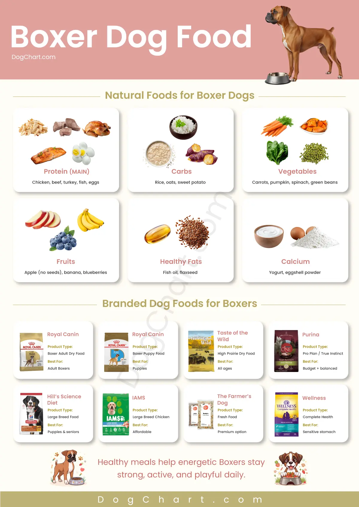 Best Dog Food for Boxers – Complete Feeding Guide boxer dog foods