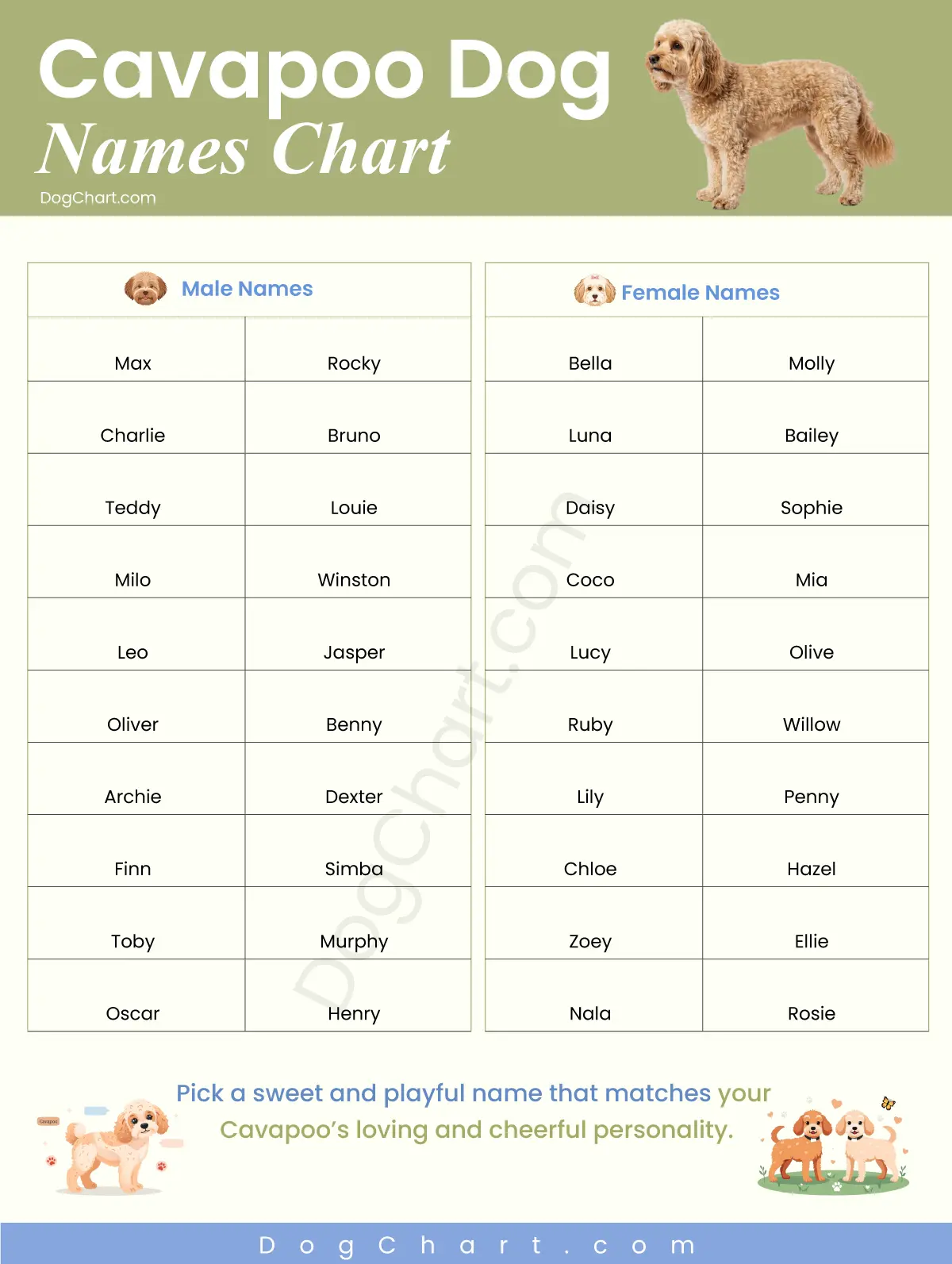 cavapoo dog names
