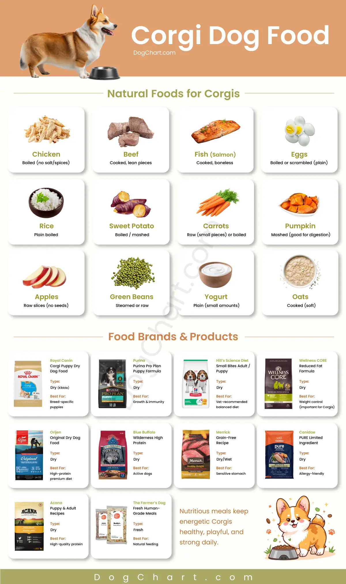 Best Dog Food for Corgis: Complete Feeding Guide Best Dog Food for Corgis