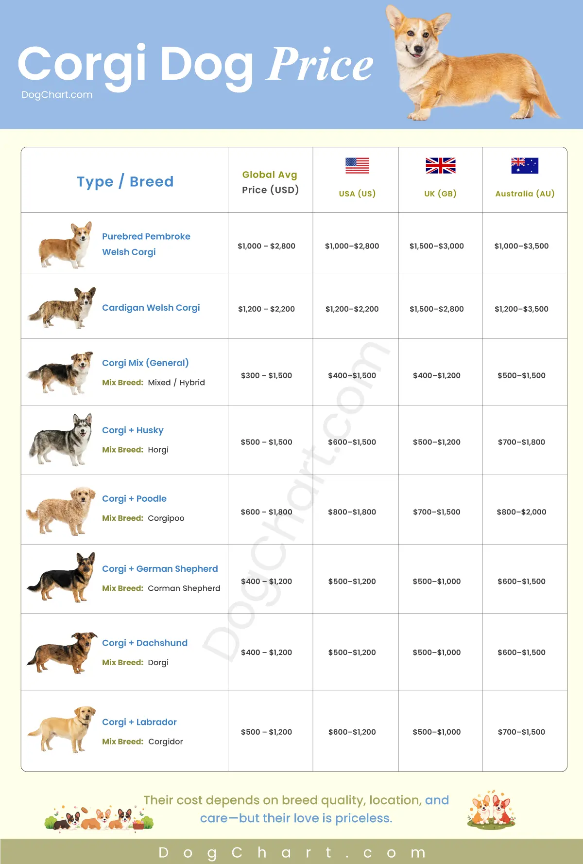 How Much Does a Corgi Dog Cost? Full Price Guide for 2026 corgi dog price chart