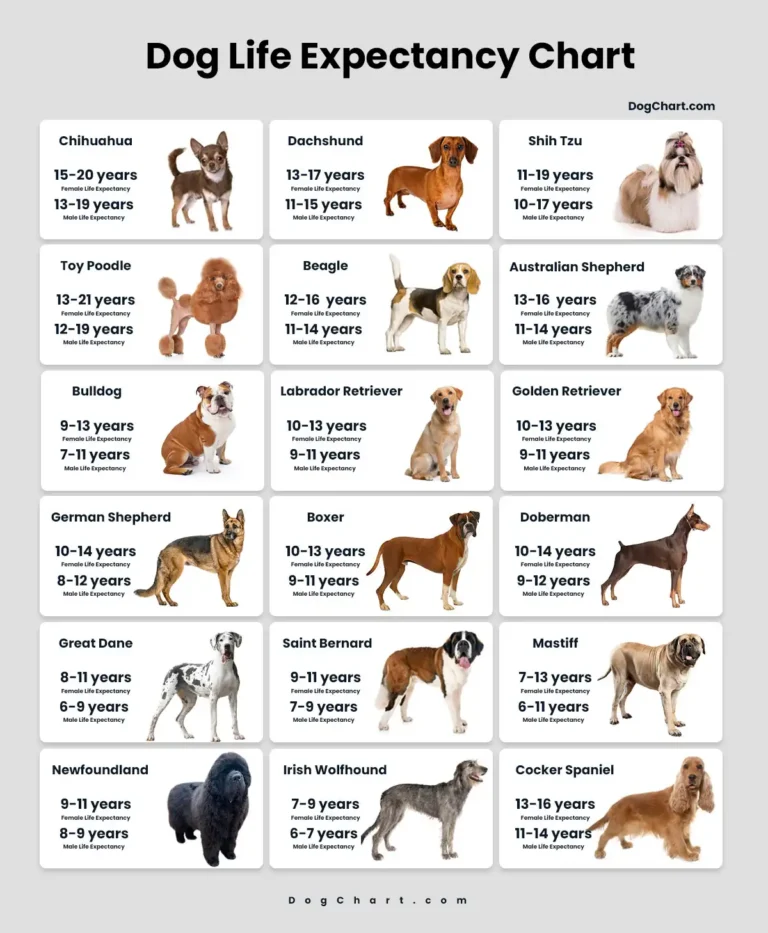 dog life expectancy chart