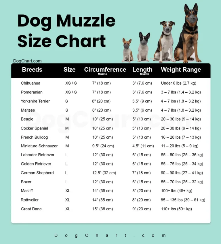 dog muzzle size Chart by breed in inches and cm