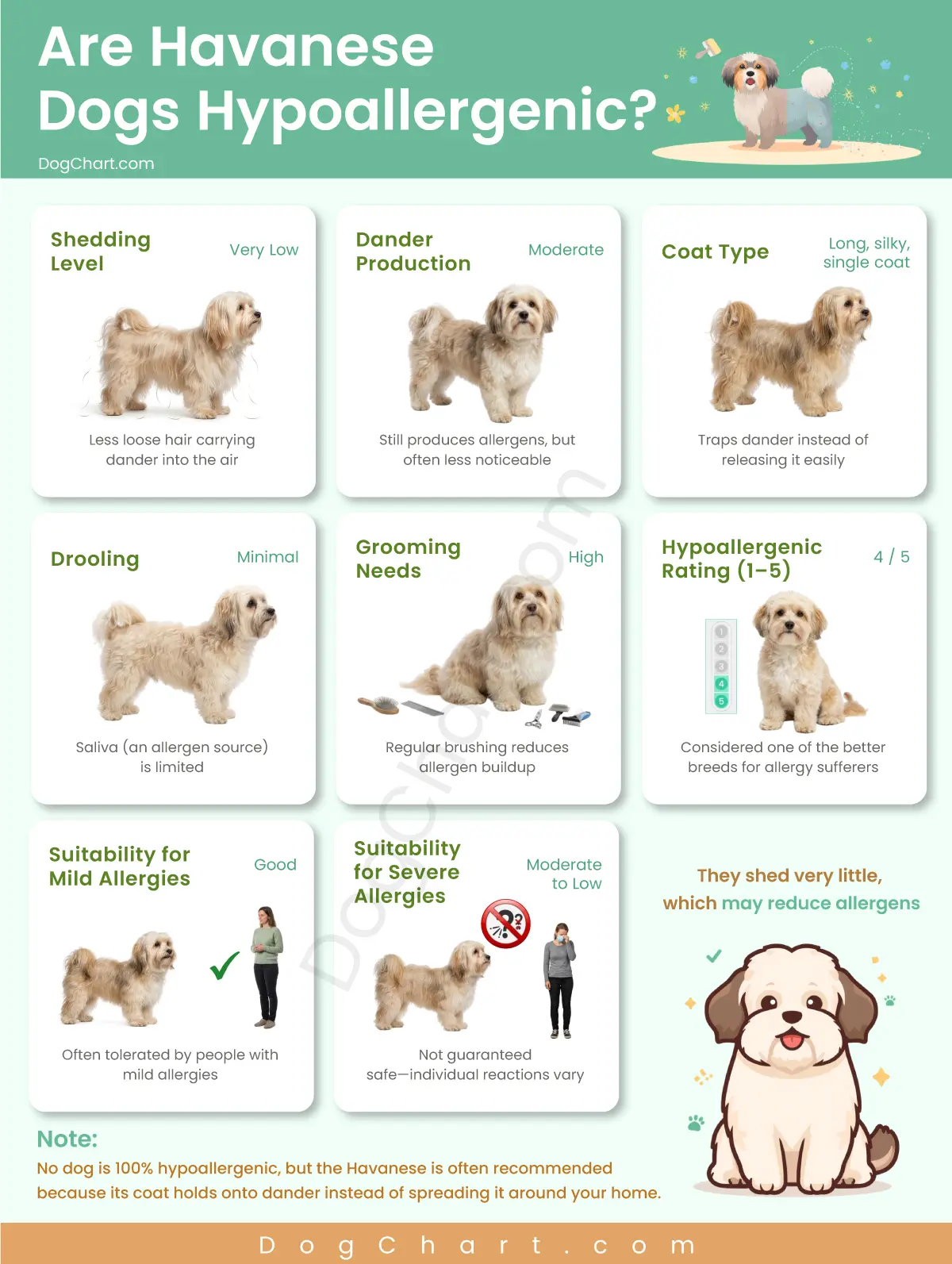 havanese dog hypoallergenic chart