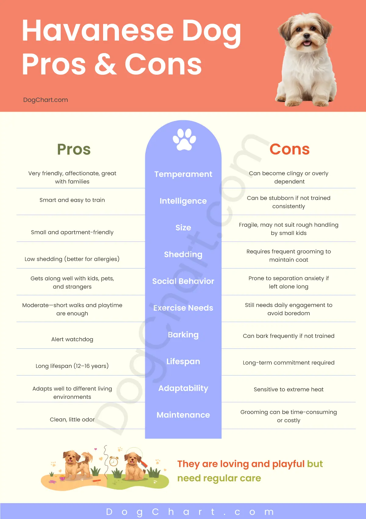 havanese dog pros and cons chart