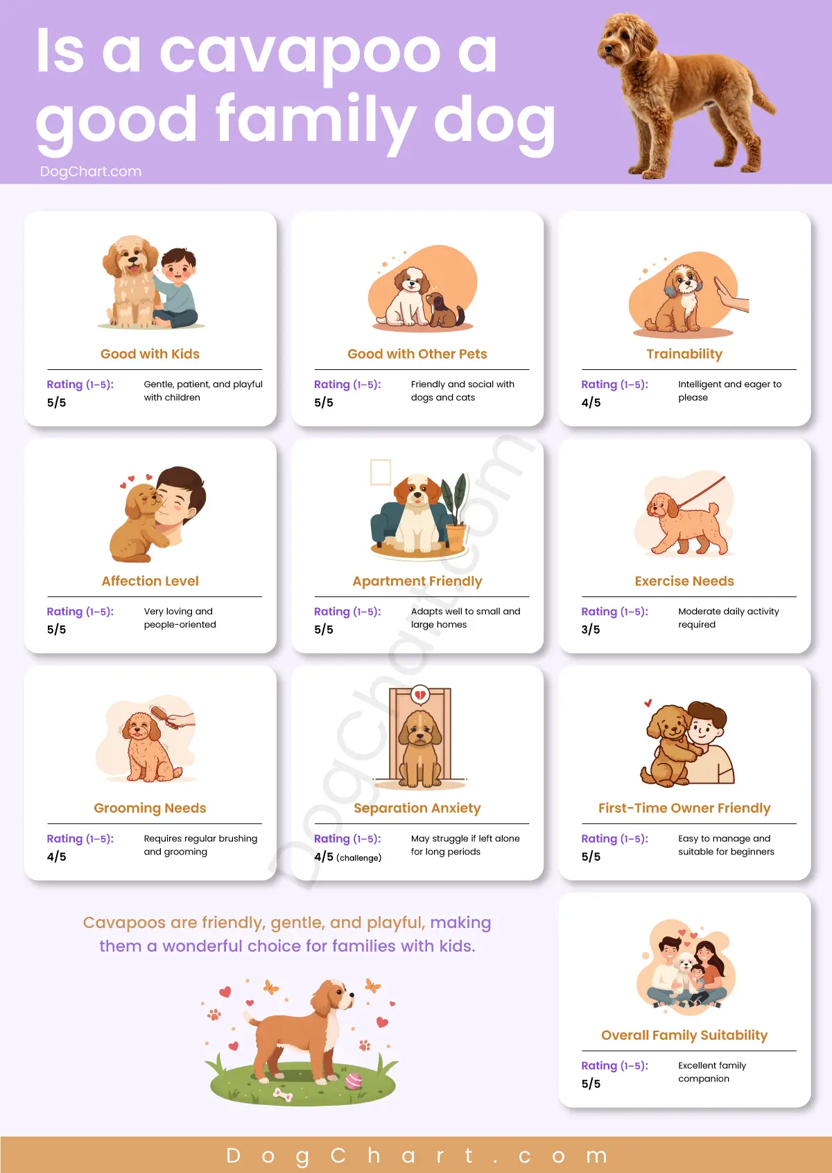 is a cavapoo a good family dog