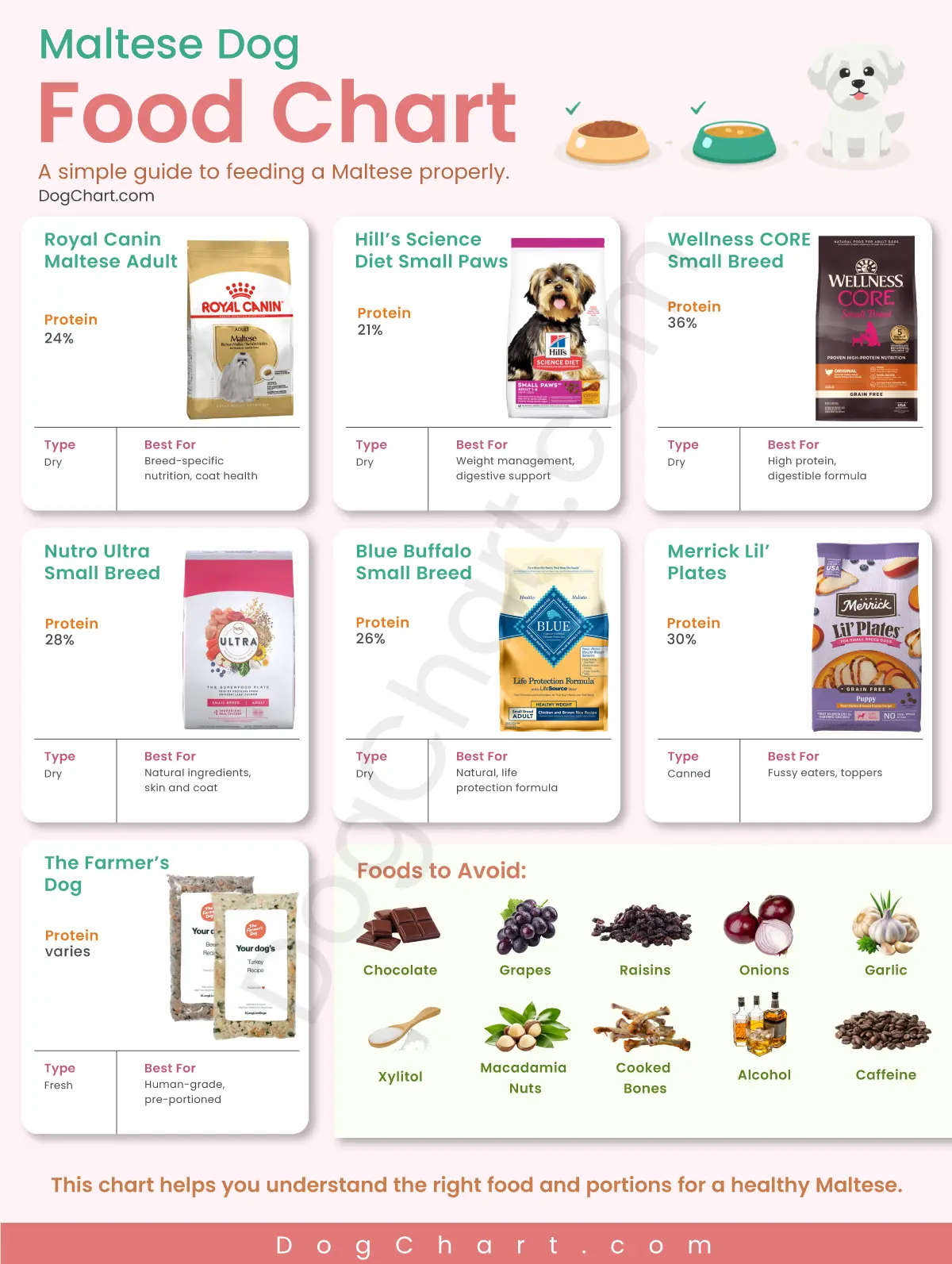 maltese dog food chart