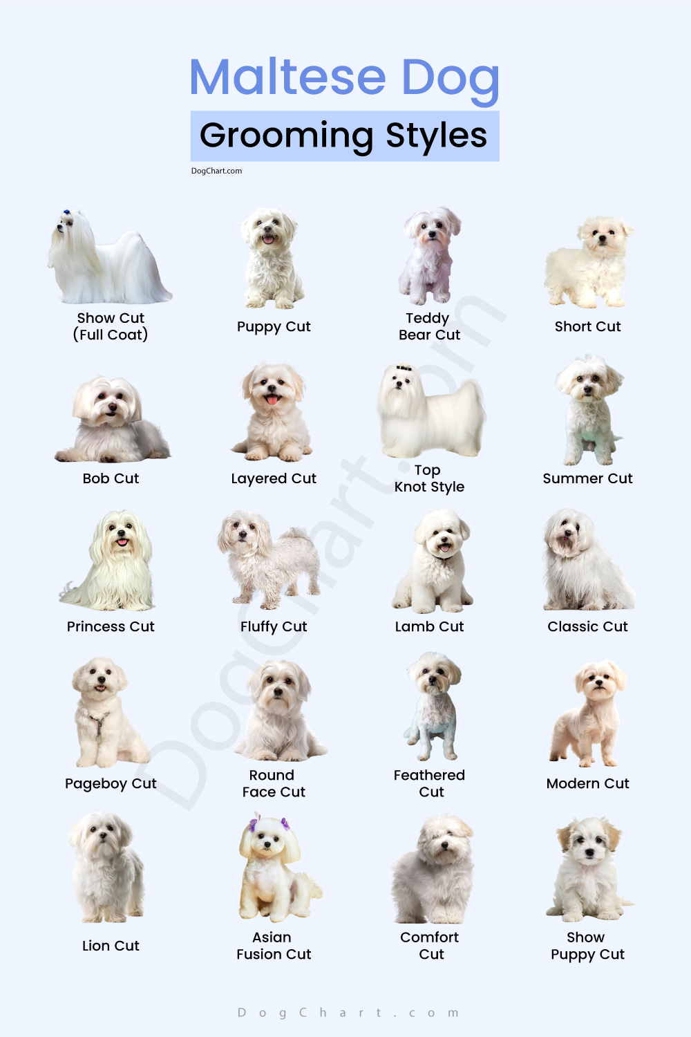 Maltese Dog Grooming Styles maltese dog grooming styles