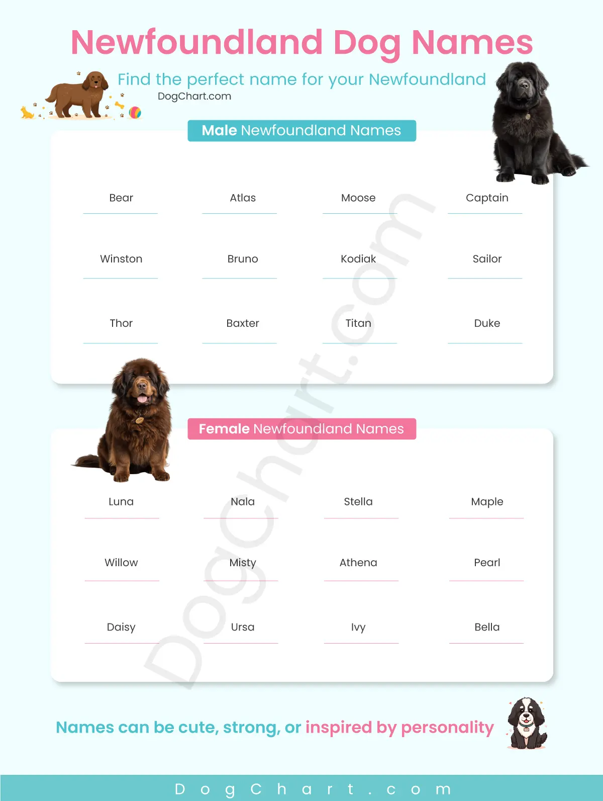 newfoundland dog names