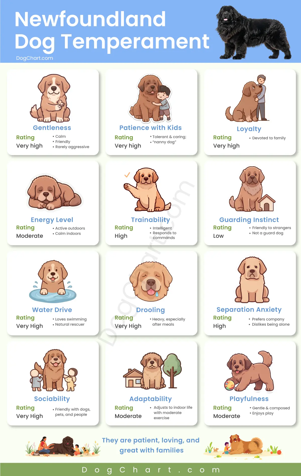 Newfoundland Dog Temperament – What Living with One Is Really Like newfoundland dog temperament chart