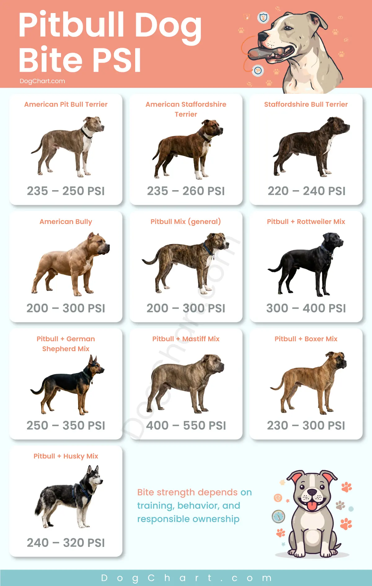 pitbull dog bite psi including mix breed