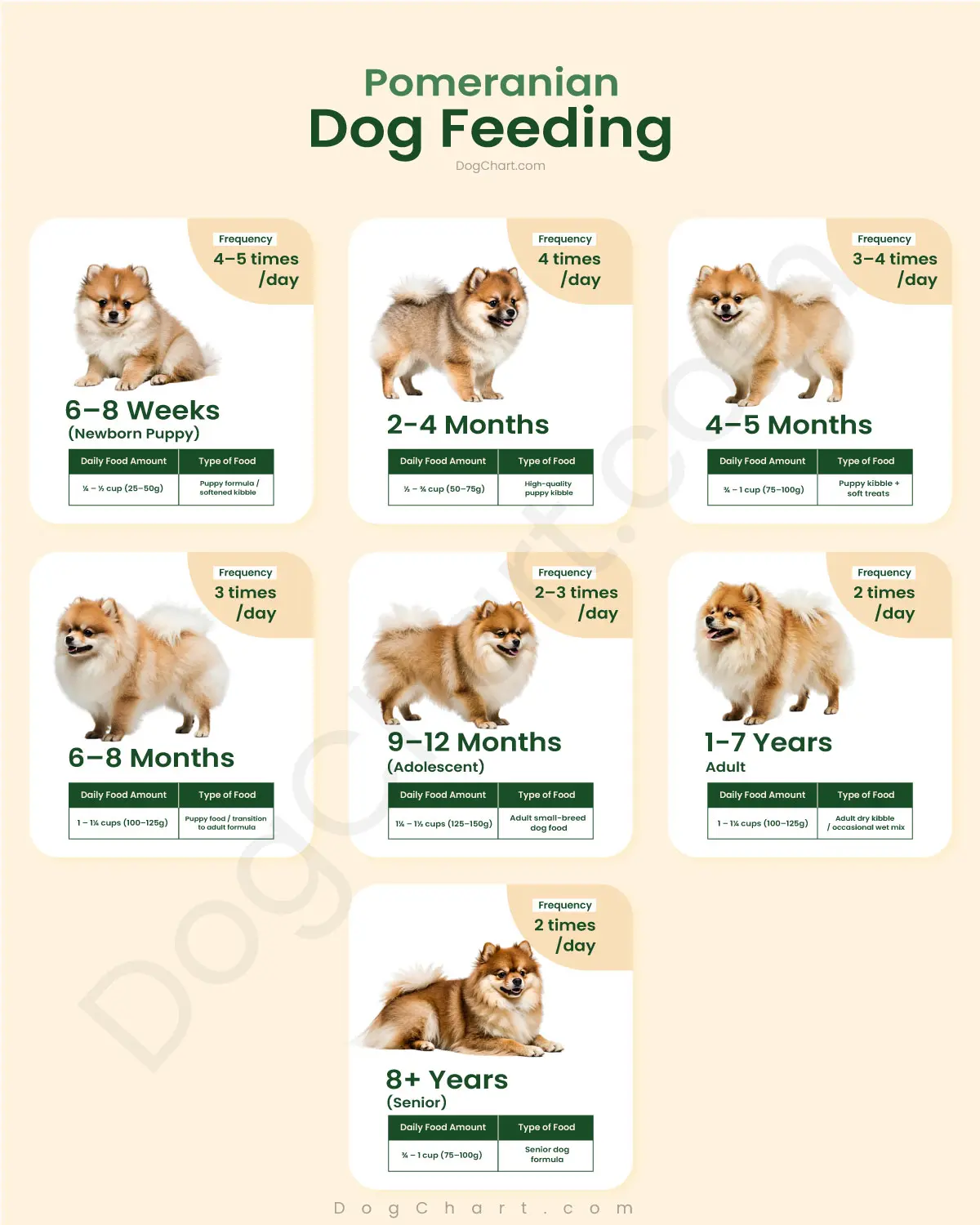 Pomeranian Dog Feeding Chart & Complete Feeding Guide pomeranian dog feeding schedule